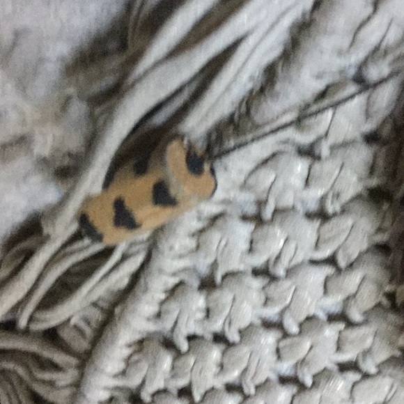 🌷Art decor Kenya travel tic-tac drum festival boho African - Picture 2 of 8